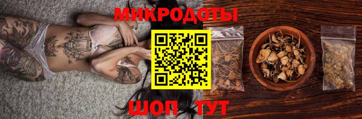 Псилоцибиновые грибы GOLDEN TEACHER Кунгур
